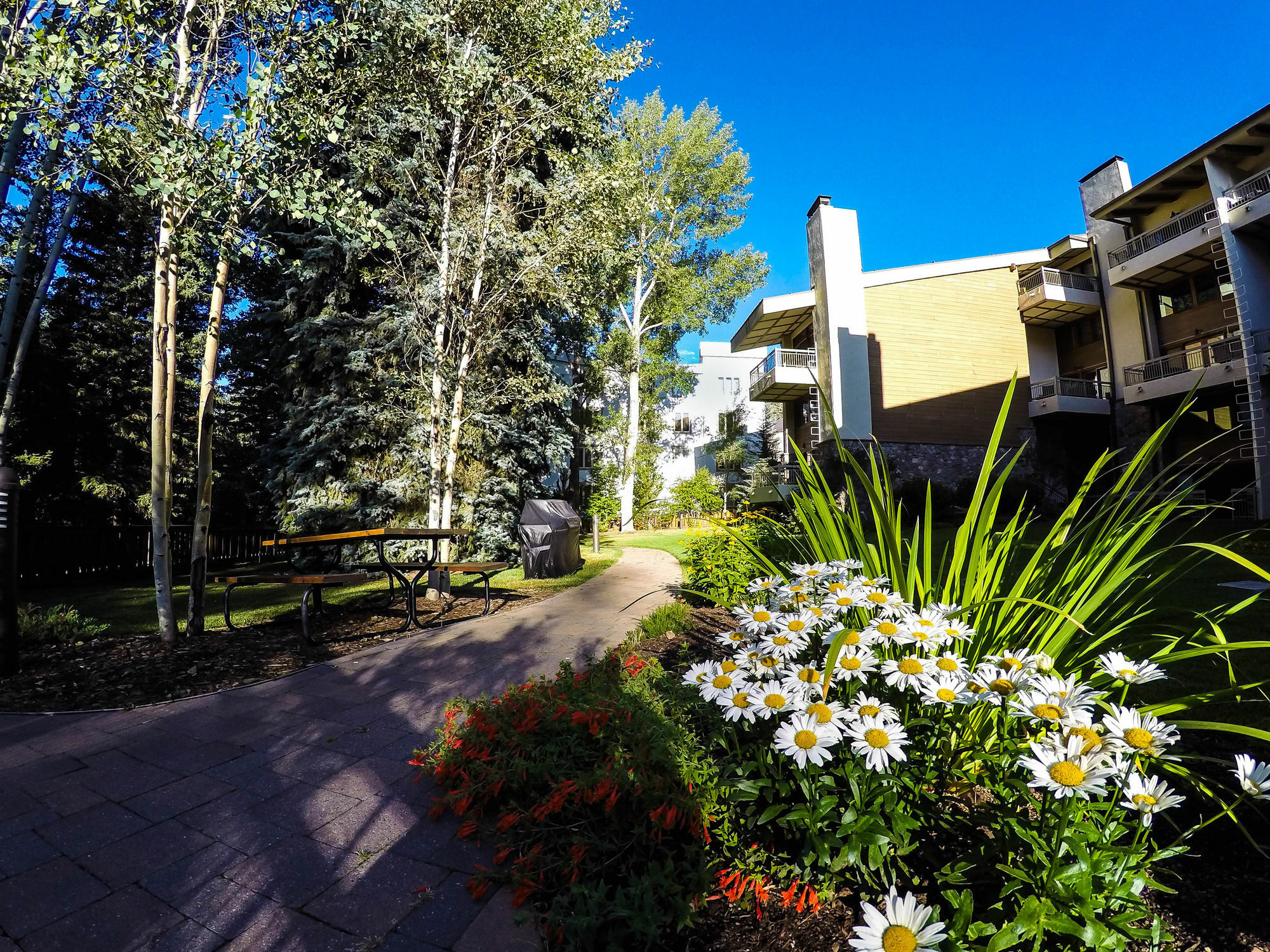 Lodge At Lionshead Vail Exteriör bild